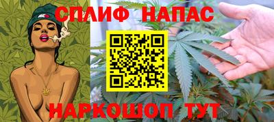 СК Будённовск