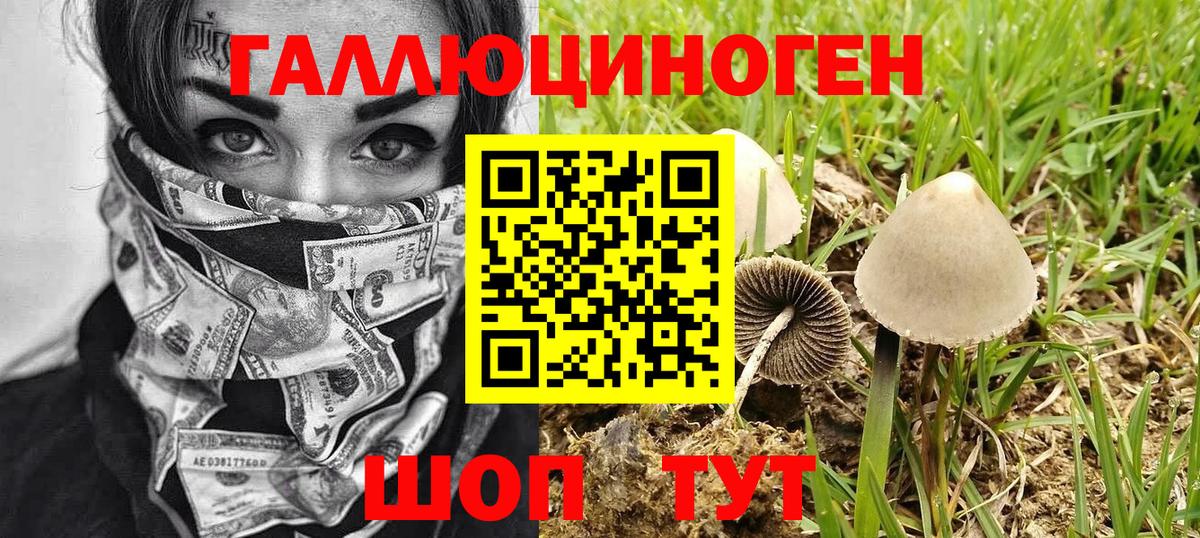 Галлюциногенные грибы Psilocybine cubensis  Вход с VPN  Кыштым 